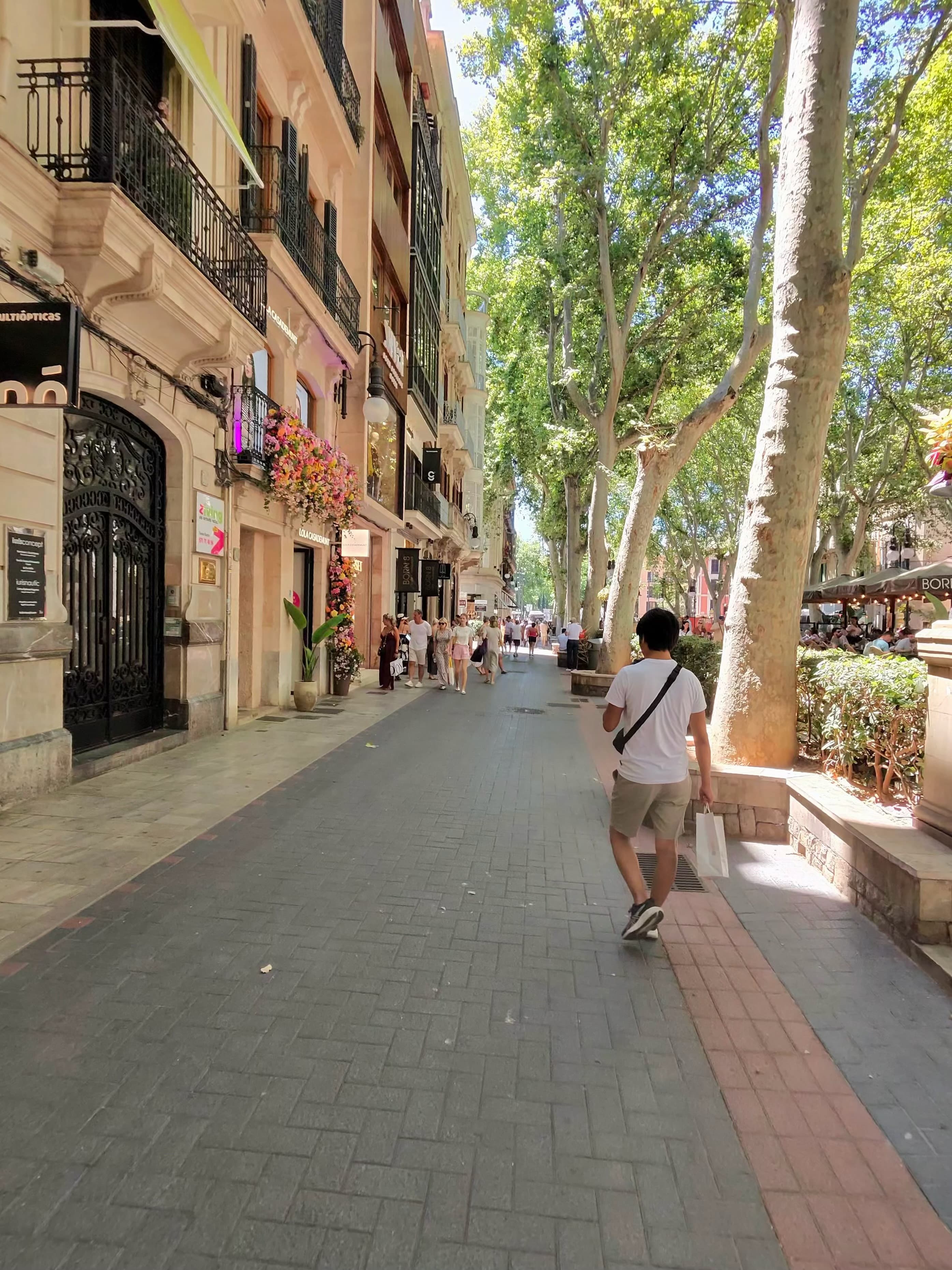 Sun-dappled pedestrian boulevard in Palma de Mallorca lined with plane trees, sandstone shopfronts with iron balconies, and c
